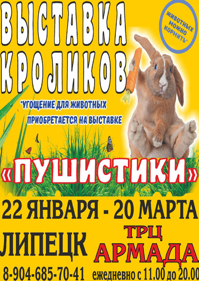 Фото Пушистики, выставка кроликов